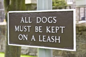 dogs-on-a-leash-1220224-m