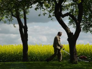 mowing-man-63275-m