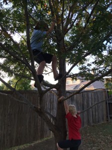 tree climbing