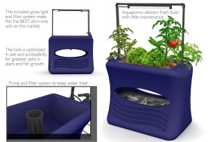 starting aquaponics kit