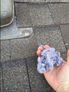 dryer lint