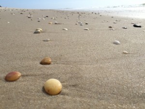 Ponguaque Beach